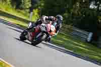 Advanced Group Red Bikes